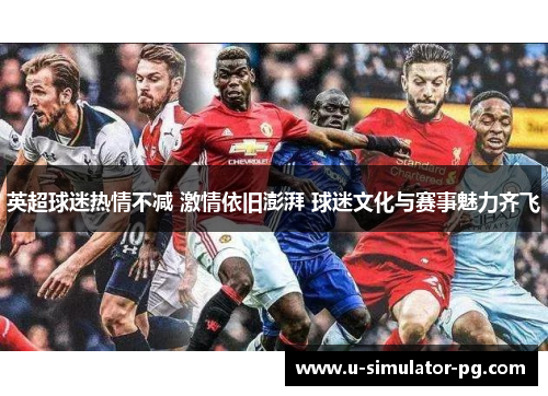 英超球迷热情不减 激情依旧澎湃 球迷文化与赛事魅力齐飞
