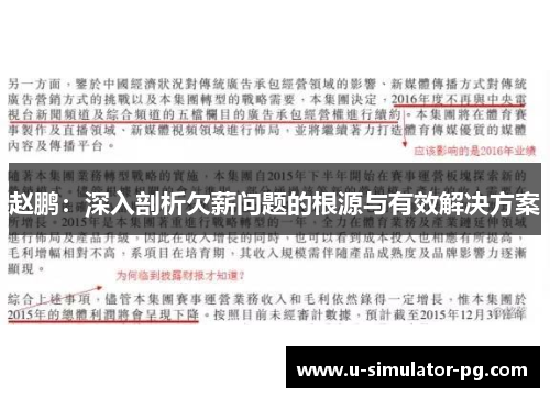 赵鹏：深入剖析欠薪问题的根源与有效解决方案