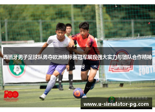 西班牙男子足球队勇夺欧洲锦标赛冠军展现强大实力与团队合作精神