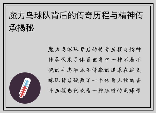 魔力鸟球队背后的传奇历程与精神传承揭秘